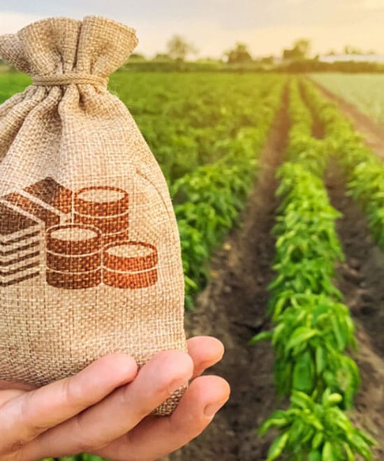 Lawyer for Redevelopment of societies in Borivali